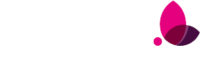 monamie